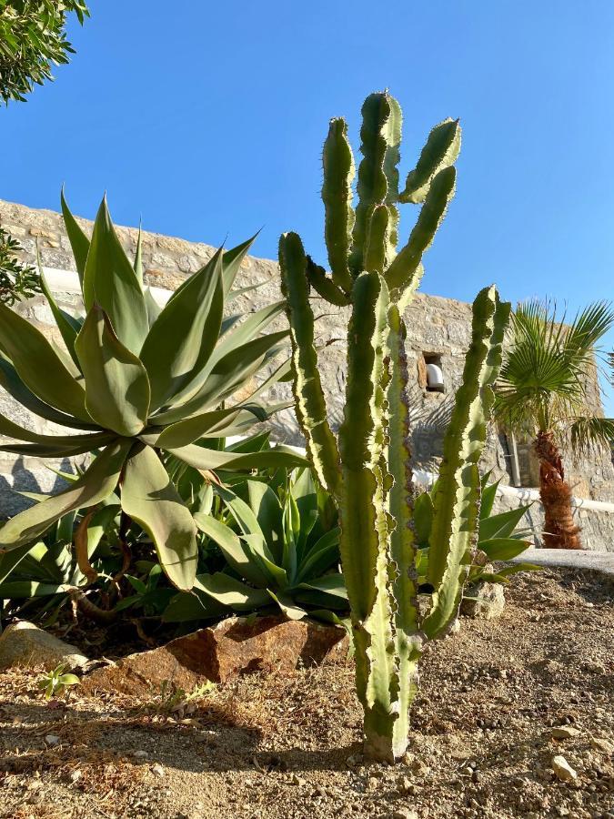 Sensus Mykonos * Kalafatis